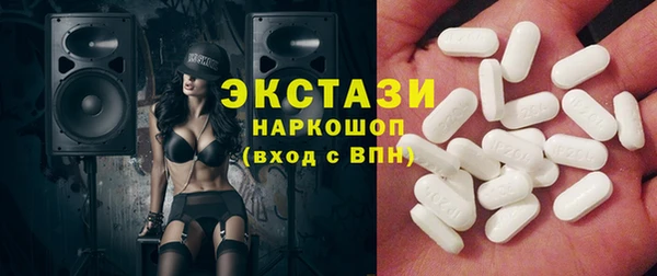 крисы Инта