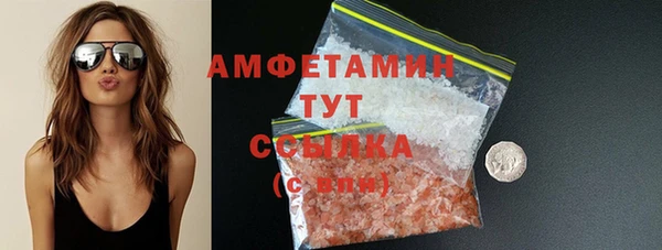 крисы Инта