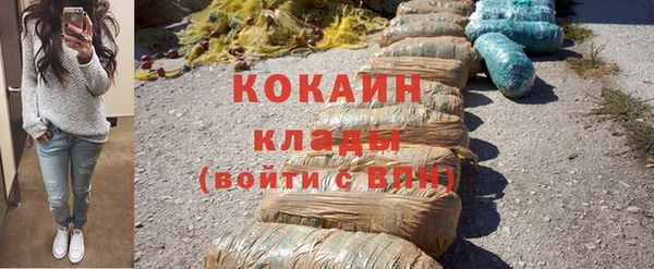 крисы Инта