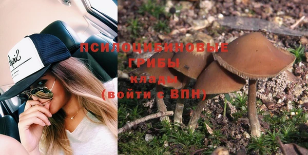 крисы Инта