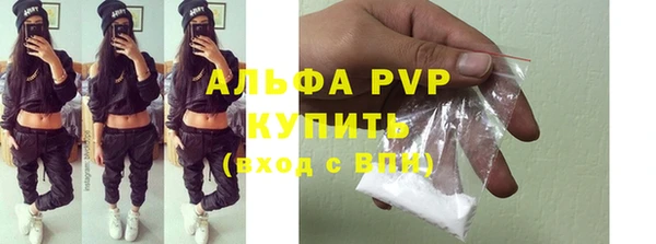 молекула духа Каменка