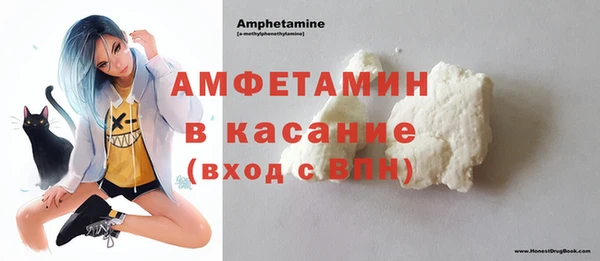 крисы Инта