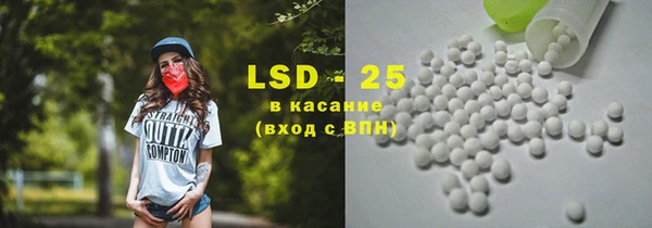 крисы Инта