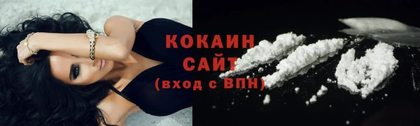 крисы Инта