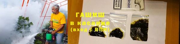 крисы Инта