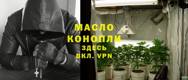 крисы Инта