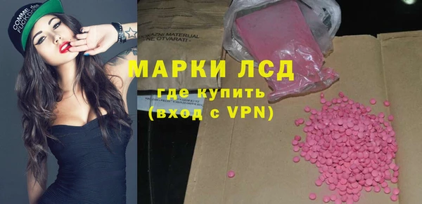 крисы Инта