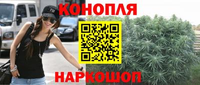 шишки Нальчик