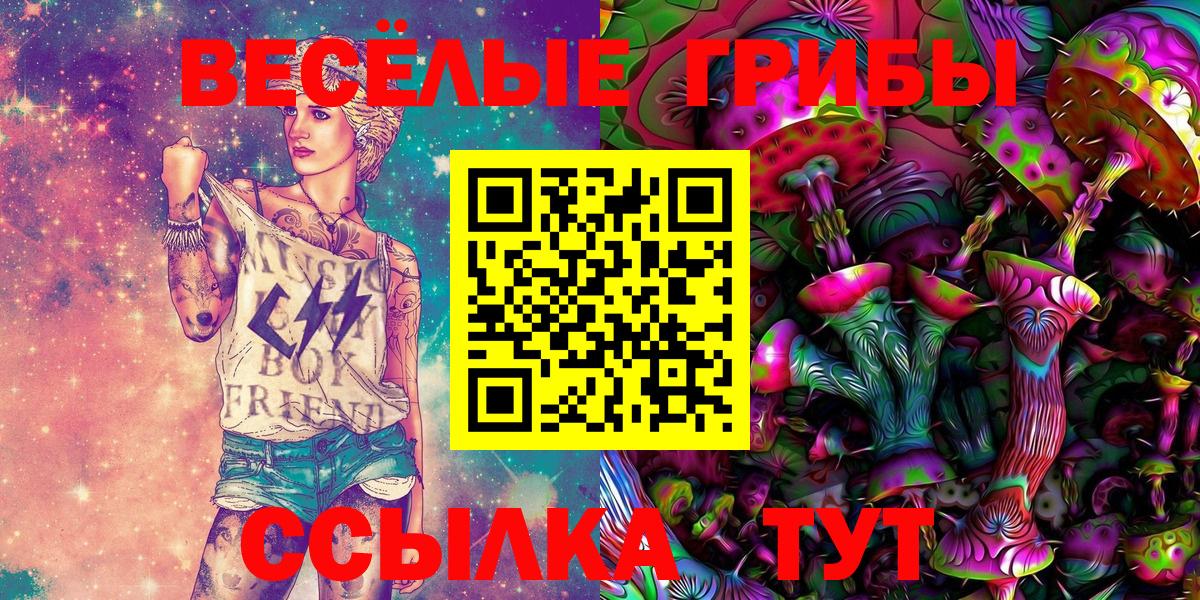 Псилоцибиновые грибы Psilocybe Уварово