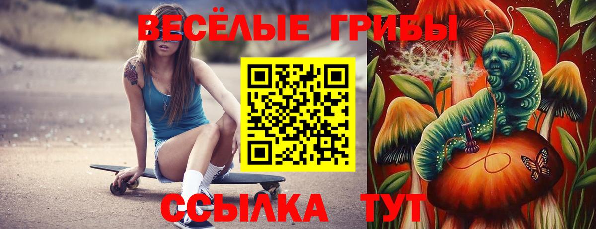 Псилоцибиновые грибы MAGIC MUSHROOMS  Галлюциногенные грибы GOLDEN TEACHER  Уварово  Вход с VPN 